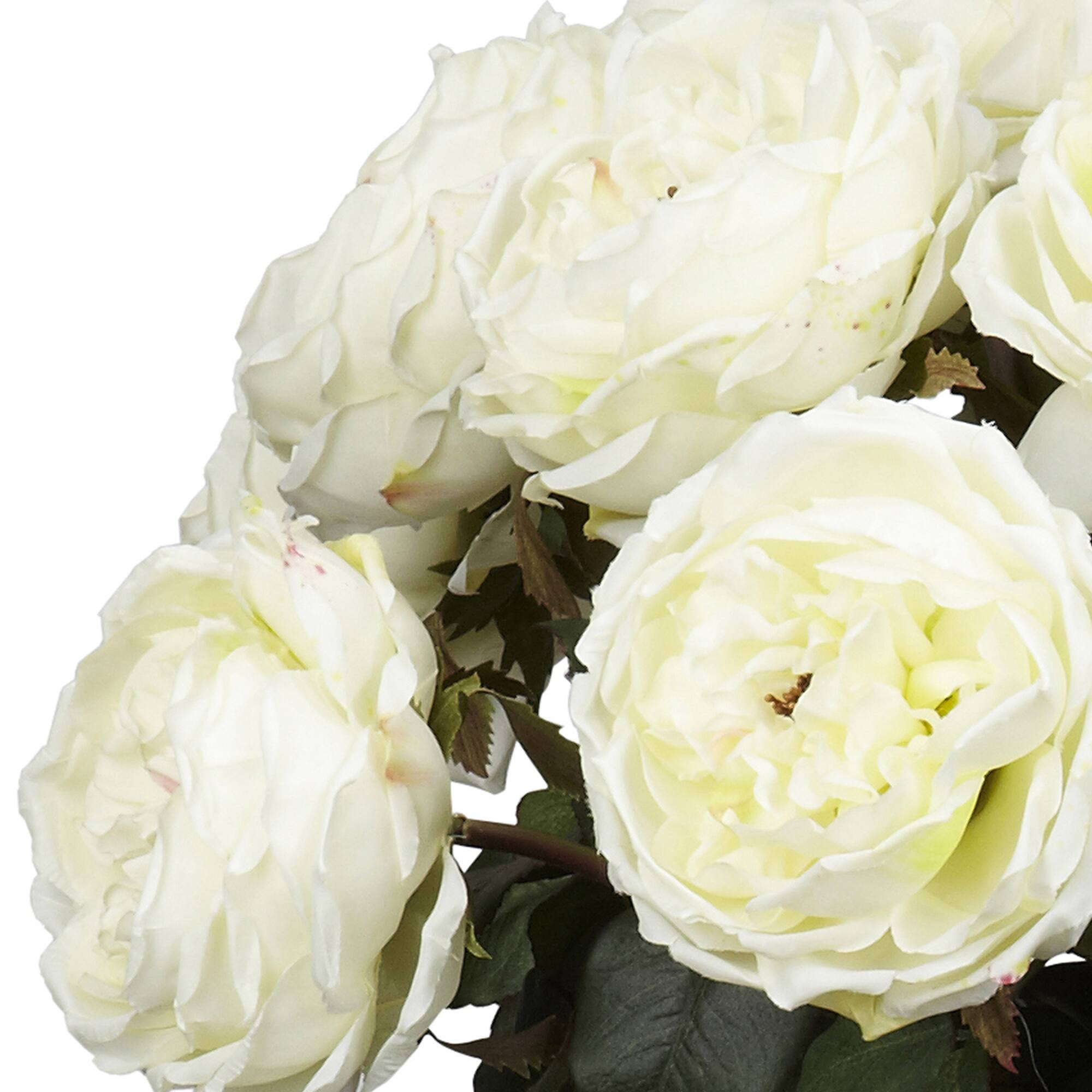 2.5ft. White Fancy Rose In Glass Cylinder Vase